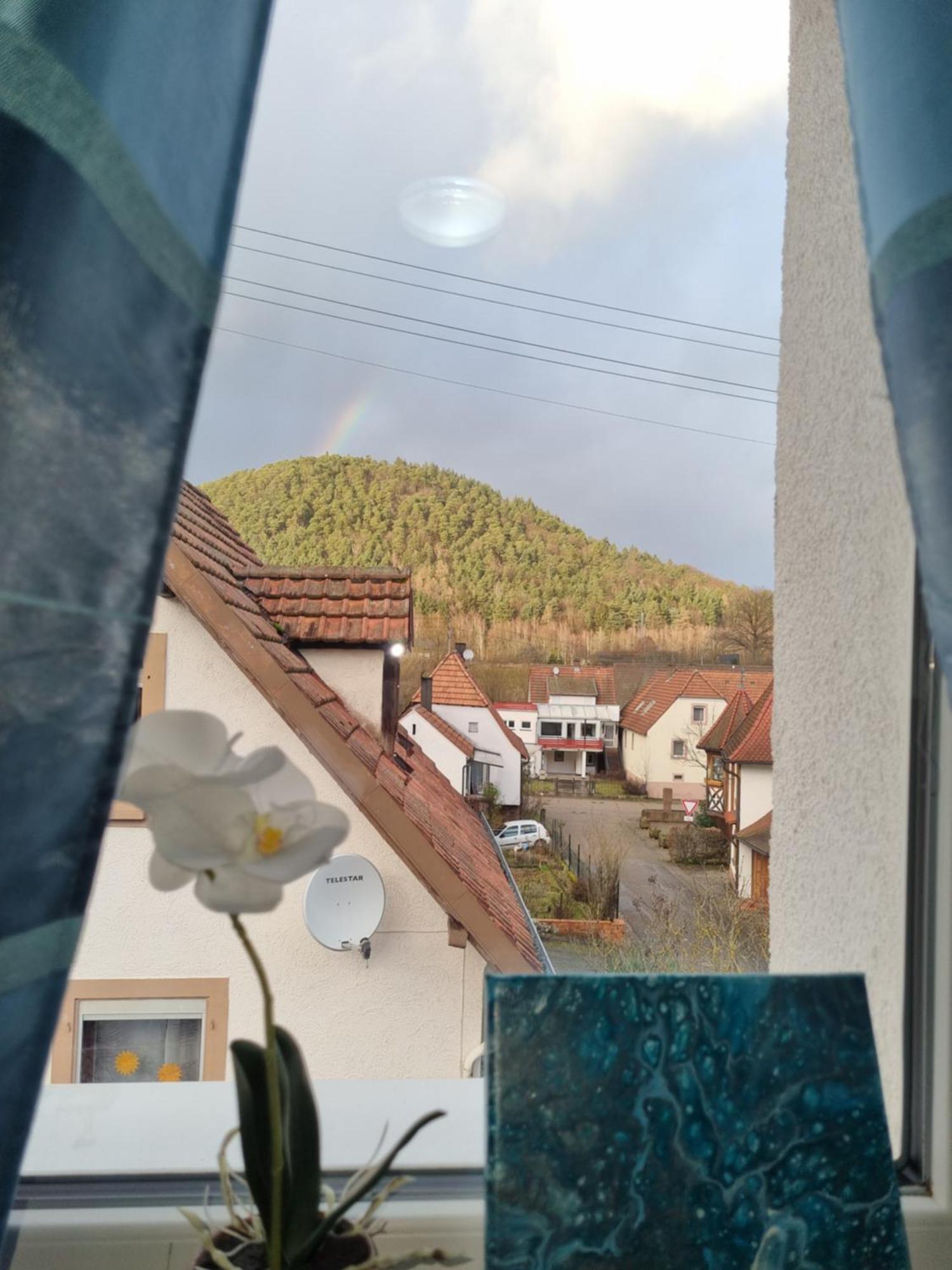 Ferienhaus Alexandra Bollenborn Luaran gambar